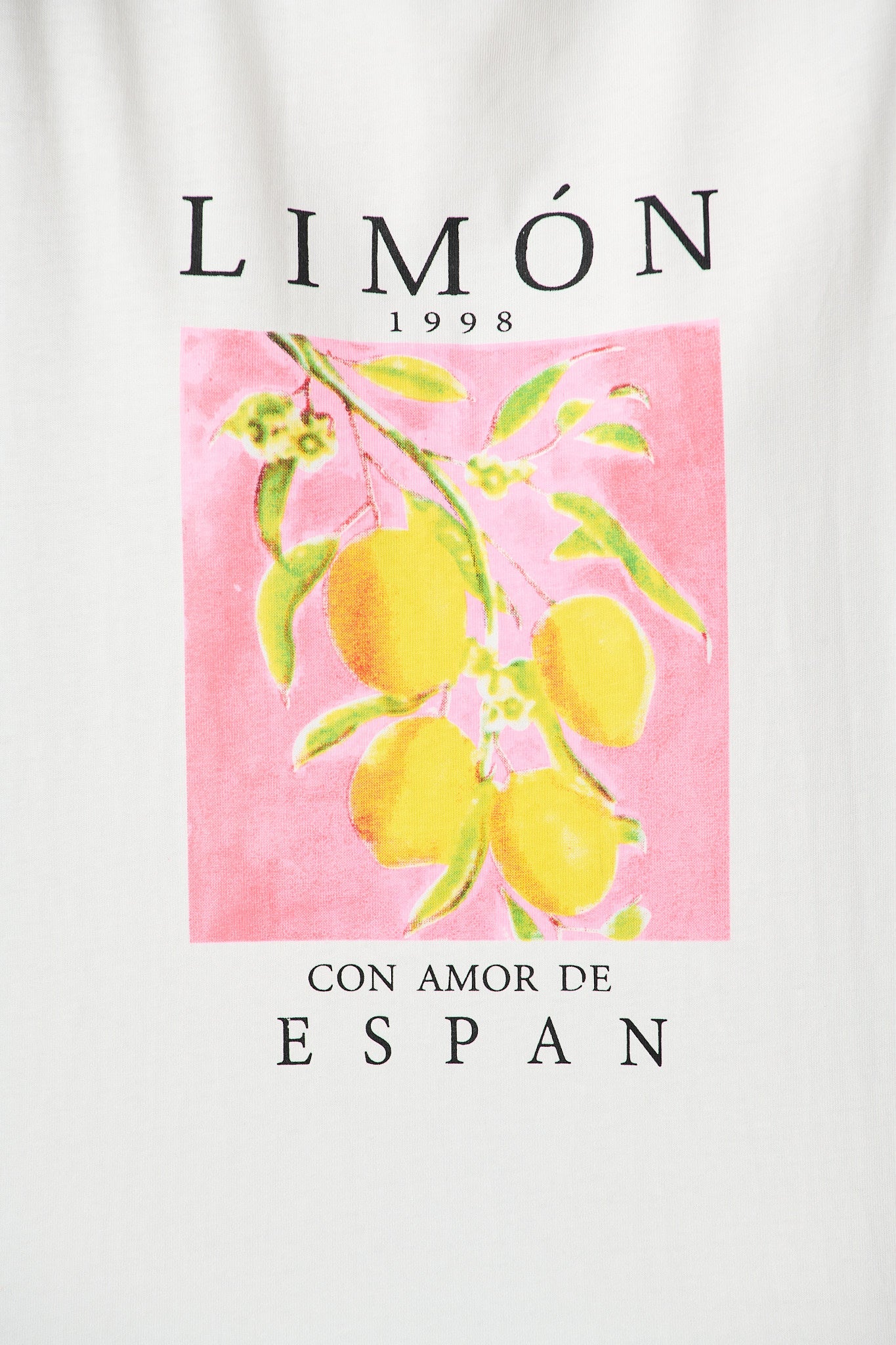 In the Groove T Shirt In White With Lemon Print Cotton