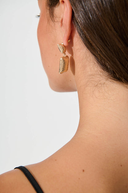 Calvine Drop Earrings in Brown