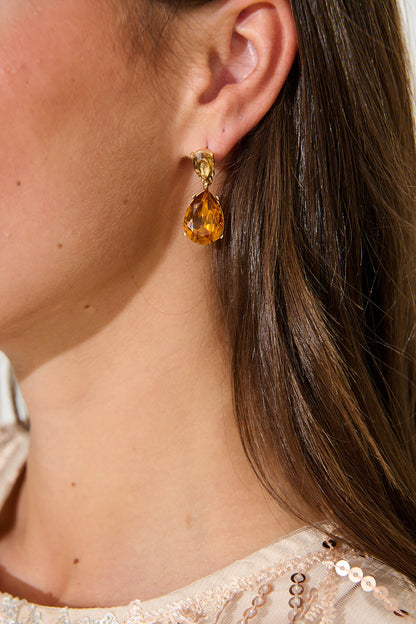 Tovianna Drop Earrings in Brown