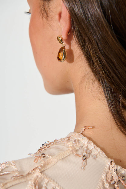 Tovianna Drop Earrings in Brown