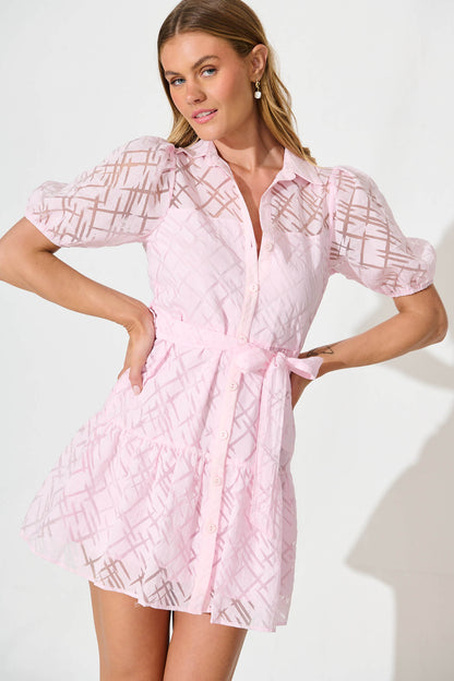 Quinette Shirt Dress in Pale Pink Organza