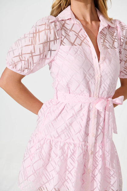 Quinette Shirt Dress in Pale Pink Organza