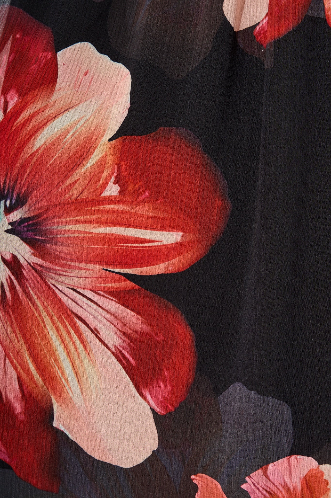 Aubrey Midi Dress in Black and Red Flower Chiffon