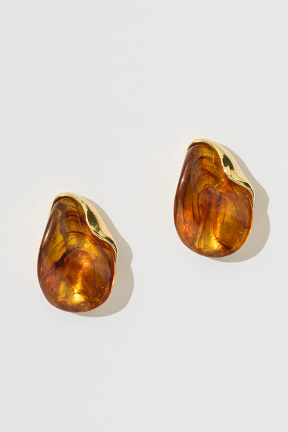 Amber Stud Earrings in Tortoiseshell and Gold